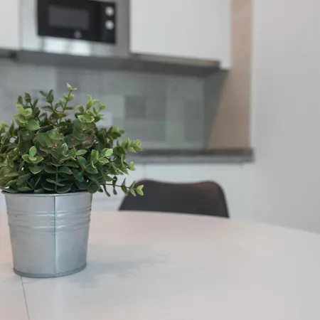 アパート Begobe トレモリノス